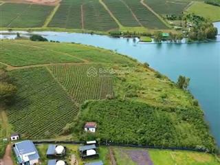 Tôi có miếng đất không dùng đến bán rẻ hơn gần nửa giá lấy tiền mua nhà cho con học trường quốc tế