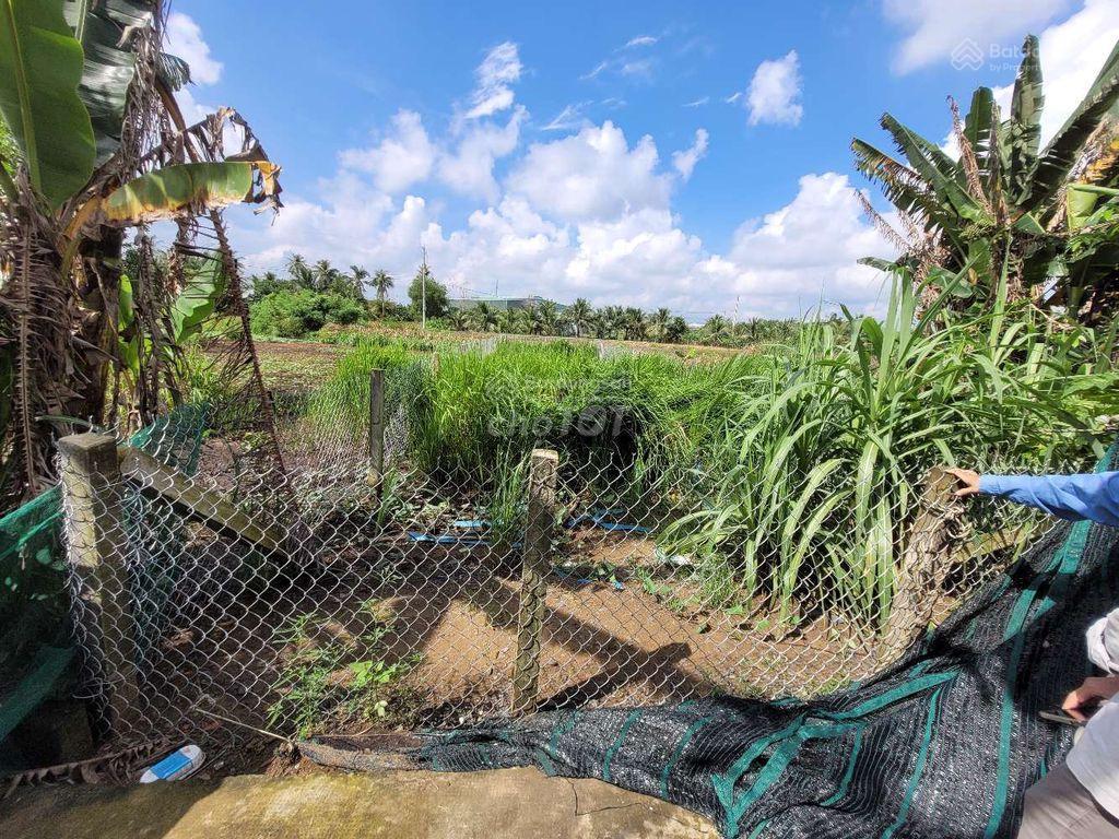 Bán đất giá tốt 113m2 thổ cư 1 tỷ 1,190 long khê  thương lượng giá thật vị trí thật