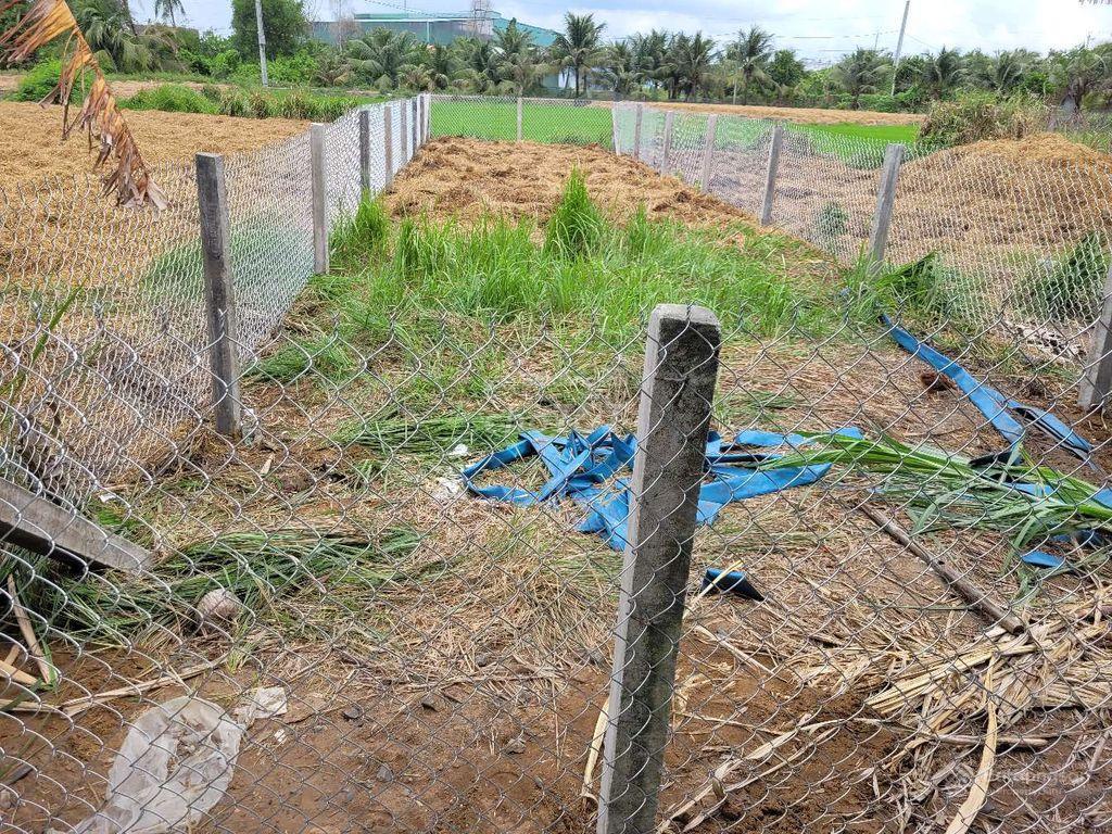 Bán đất giá tốt 113m2 thổ cư 1 tỷ 1,190 long khê  thương lượng giá thật vị trí thật