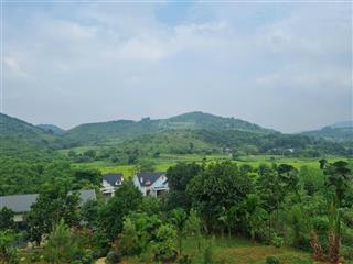 Chính chủ bán biệt thự 3700m2 xã yên trung, đường 2 oto tránh trục chính 446 giá 18tỷ 0916 393 ***
