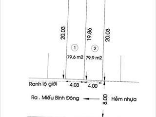 Vị trí vàng 8*20 tha hồ xây biệt thự căn hộ dịch vụ siêu lợi nhuận đường 10 m thông