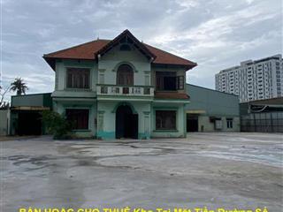 BÁN HOẶC CHO THUÊ Kho Tại Mặt Tiền Đường Số 12, phường Trường Thọ, TP Thủ Đức, Hồ Chí Minh