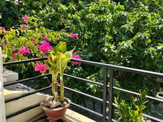 Cho thuê nhà mặt tiền 4m5, xã bình hưng (kdc 5 phong phú cũ) bình chánh  gần bến xe q8