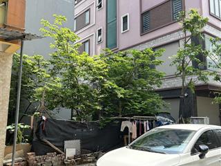 Bán gấp mảnh đất phân lô thạch bàn long biên, 100m2, vỉa hè, làm văn phòng, giá tốt.