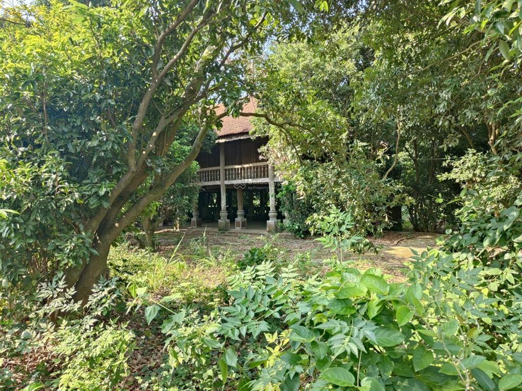 Hot! mảnh 800m2, đất nghỉ dưỡng, sổ đỏ trao tay. tại khu nghỉ dưỡng lâm trường, xã minh phú