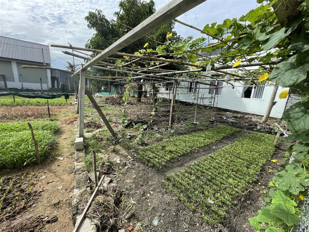 Đất full thổ cư 100m2 gần chợ cam tân, cam lâm vùng an toàn