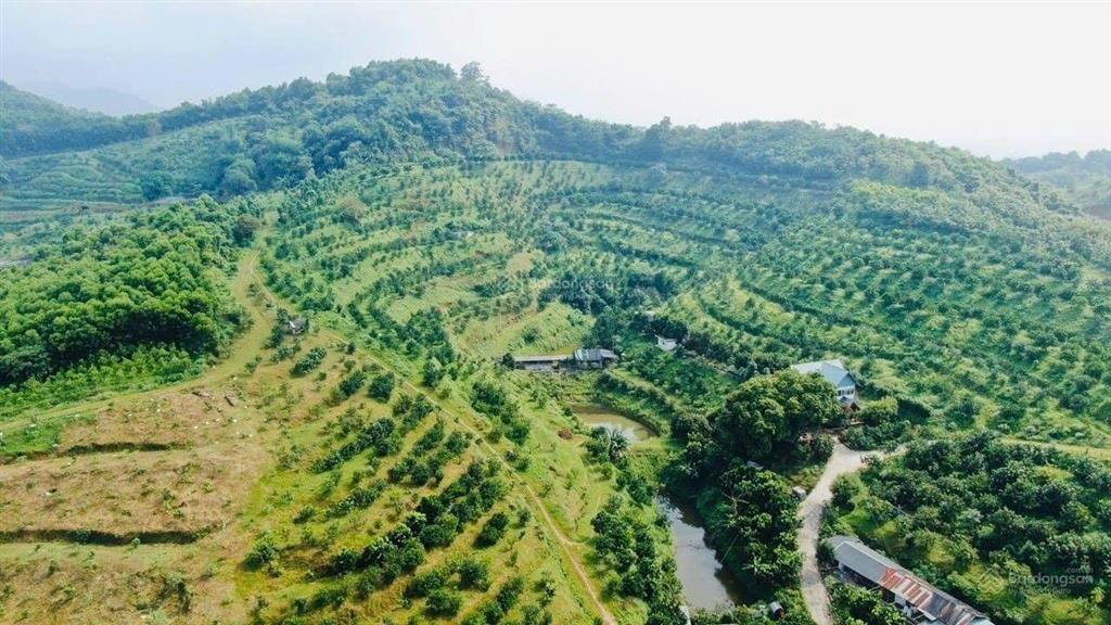 Mời chào quý công ty  khách khu đất 13.5 hecta triển khai dự án nghỉ dưỡng, du lịch sinh thái