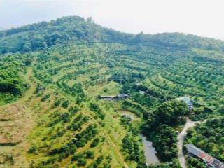 Mời chào quý công ty  khách khu đất 13.5 hecta triển khai dự án nghỉ dưỡng, du lịch sinh thái