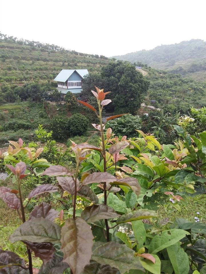 Mời chào quý công ty  khách khu đất 13.5 hecta triển khai dự án nghỉ dưỡng, du lịch sinh thái