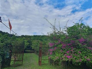 Tôi cần bán 13.5hecta đất , đã có hạ tầng điện 3 pha, nước sạch ngầm, tổng 5 quả đồi ,thế đất cao