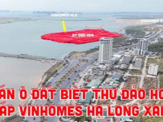 Bán đất biệt thự đảo hoa nối liền dự án vinhomes hạ long xanh. vị trí siêu vip