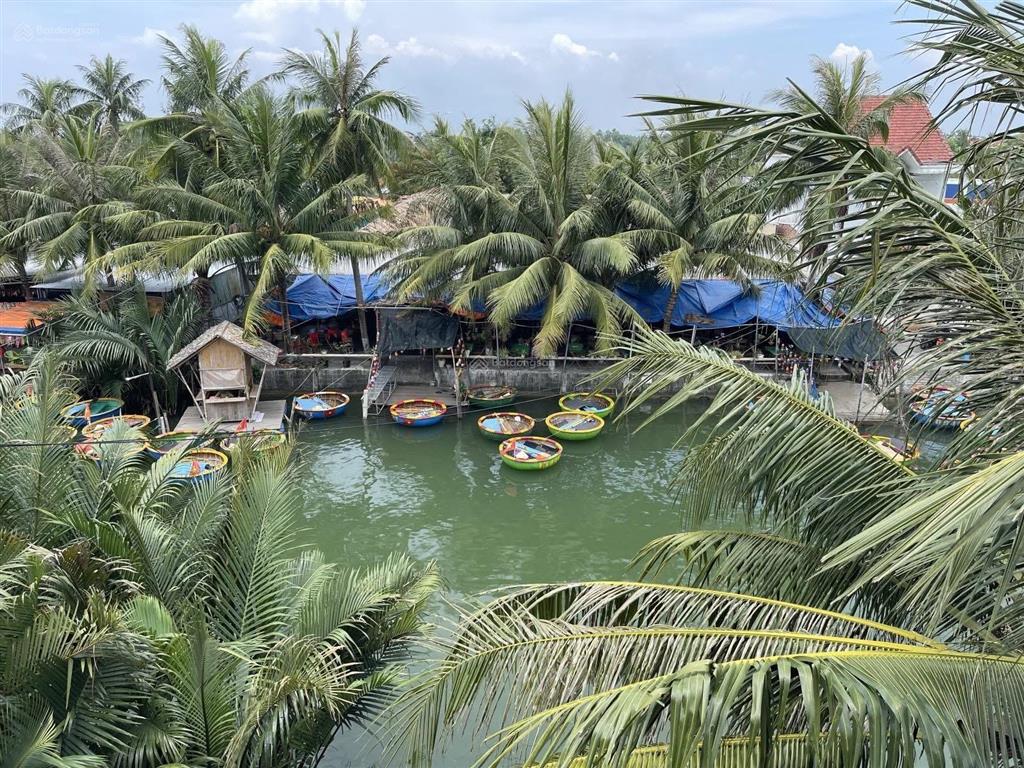 Cực hiếm 2000m2 hội an mặt tiền sông view cánh đồng lúa giá 70 tỷ nguyễn du