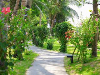 Mặt tiền tống văn sương ngang đẹp 16m, view công viên mát mẻ chỉ 9.8 tỷ cẩm thanh hội an.