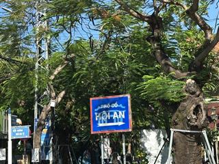 313m2 ngang đẹp 14m chỉ 4.05 tỷ trần nhân tông, cẩm thanh, hội an