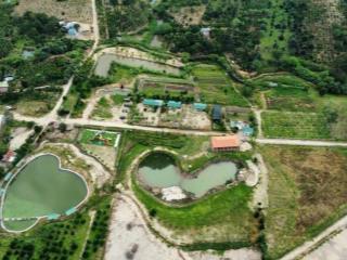 Bán đất 9.805m2 giá rẻ tại eahleo đắk lắk