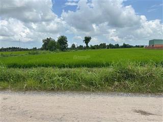 Cần bán hơn 600m2 đất lúa đường đá xanh 7m, kế kdc cát tường phú sinh giá 1 tỷ 950tr