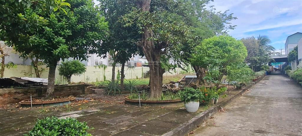 Bán 3500m2 full thổ long tuyền, cần thơ  giá 160 tỷ