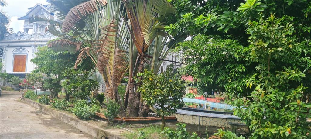 Bán 3500m2 full thổ long tuyền, cần thơ  giá 160 tỷ