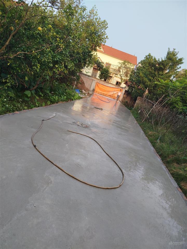 Bán đất đông anh cổ loa 560 mét vuông