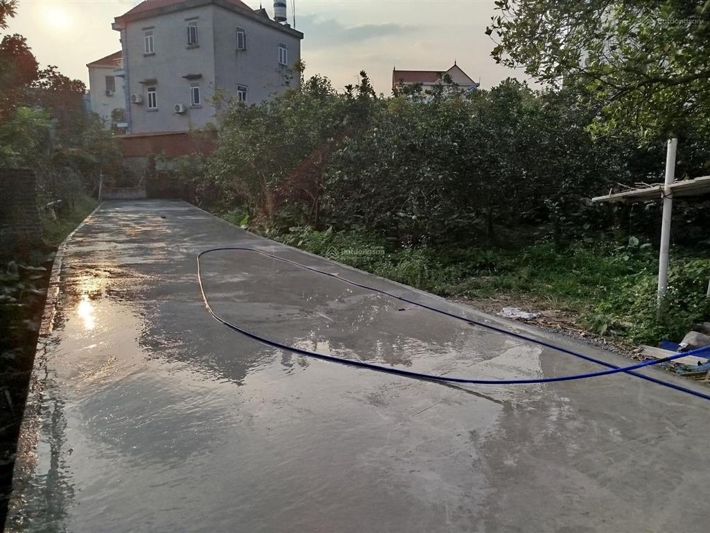 Bán đất đông anh cổ loa 560 mét vuông