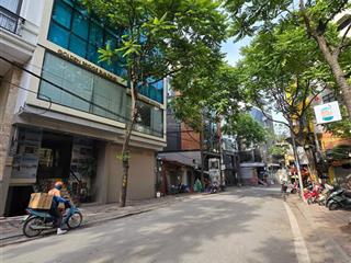 * siêu hiếm toà nhà vp, mặt phố phan kế bính  dt105m ,9 tầng ,mặt tiền 10,5m ,giá 84 tỷ có tl