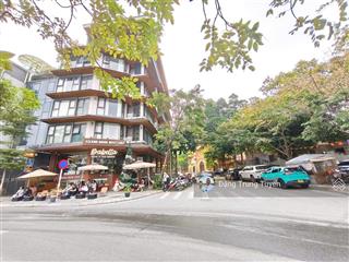 Siêu hiếm chính chủ cần bán gấp biệt thự phố võng thị, tây hồ, dt 189m2, mặt tiền 15m giá 115 tỷ