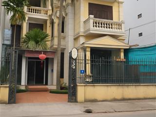 Chính chủ bán nhà lô góc mặt phố bà triệu  hà đông, kinh doanh siêu đỉnh, 175m²,mt 15m,giá 45.9 tỷ