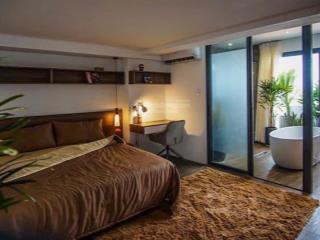 Cực phẩm penthouse view xịn  nội thất cao cấp  bao phí  service tốt  pet friendly