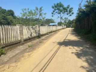 Cần chuyển nhượng 2478m2 thực tế có 2743m2 trong đó có 150m2 tc tại yên bài, hn