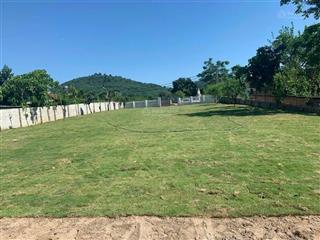 Cần chuyển nhượng 1288m2 thực tế sử dụng 1450m2 có 100m2 tc tại yên bài