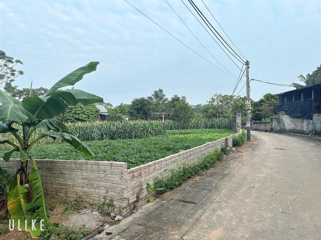 Đất yên bài, hà nội lô góc 2 mặt tiền diện tích 1130m2, có 300m tc.