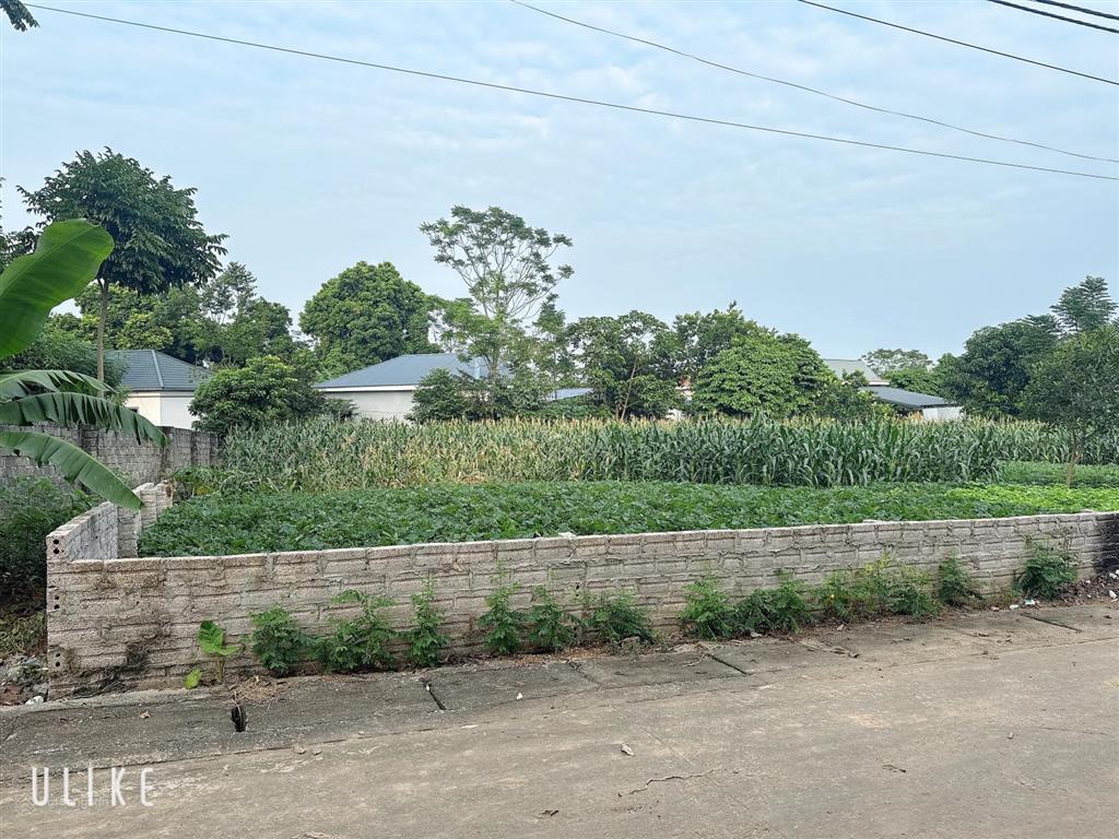 Đất yên bài, hà nội lô góc 2 mặt tiền diện tích 1130m2, có 300m tc.