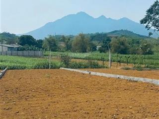 Cần chuyển nhượng lô đất với dt 262m2 trong đó có 75 tc tại yên bài (vân hoà cũ)