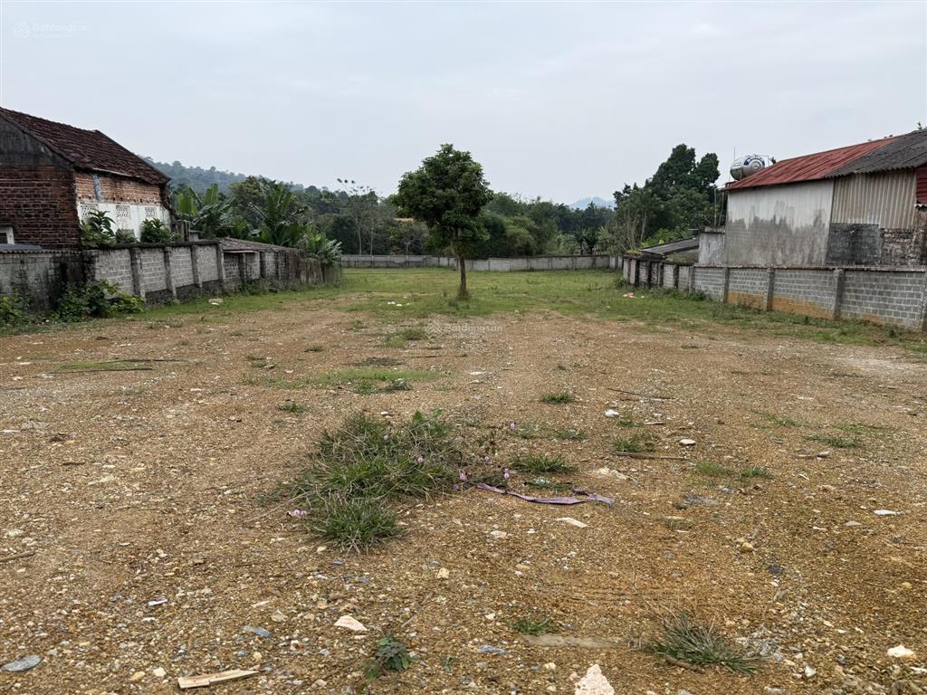 Can chuyển nhượng 2080m trong đó có 200tc tại trục chính xã yên bài