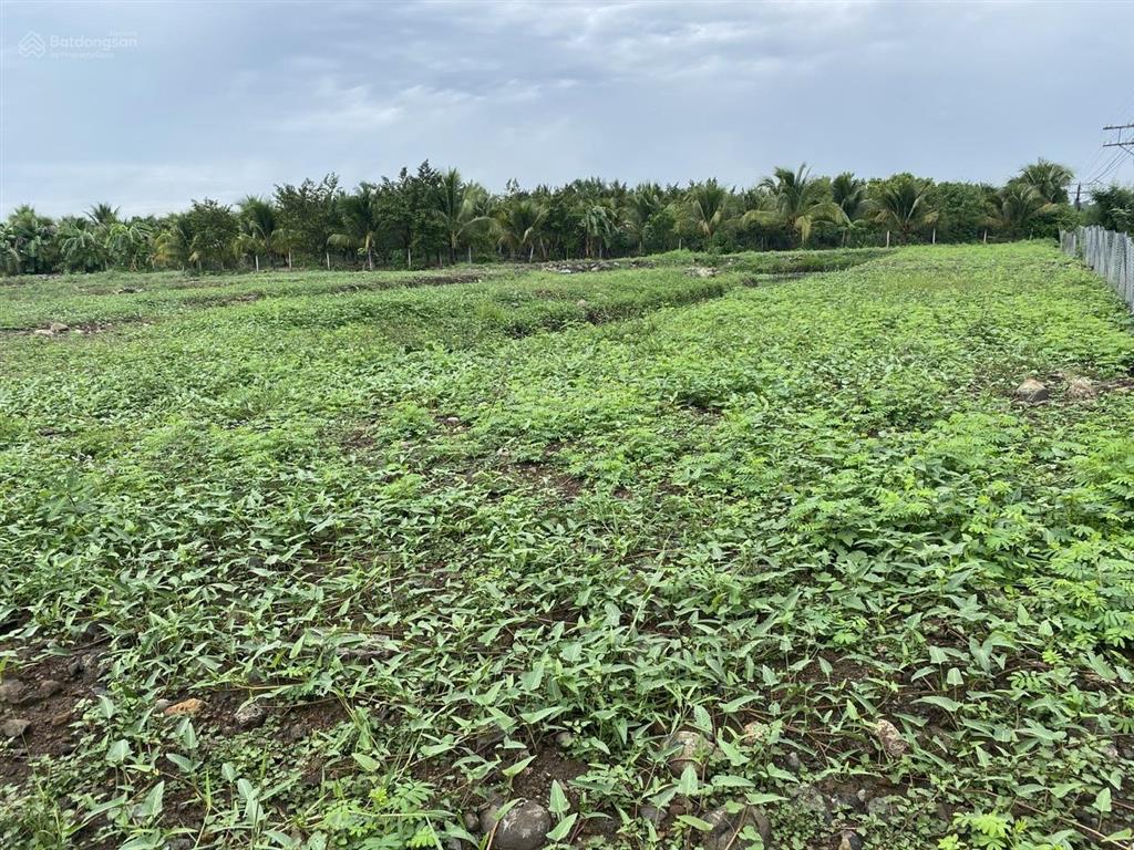 Đất diện tích lớn p. long khánh (tổng cộng 4.300m2), giá bán bằng lô đất nền