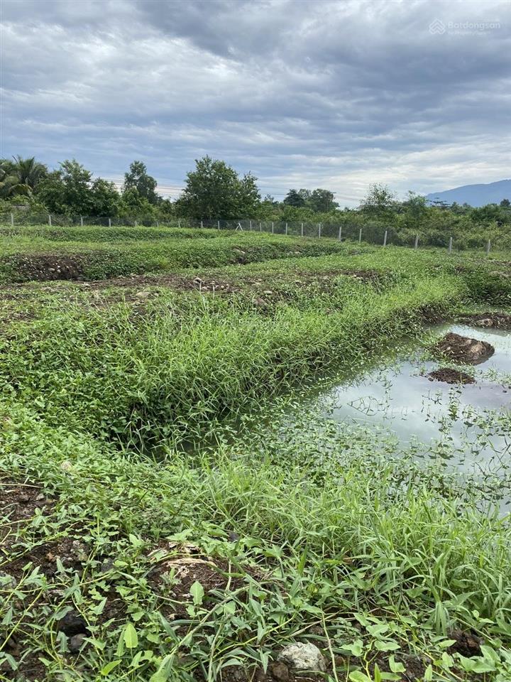 Đất diện tích lớn p. long khánh (tổng cộng 4.300m2), giá bán bằng lô đất nền