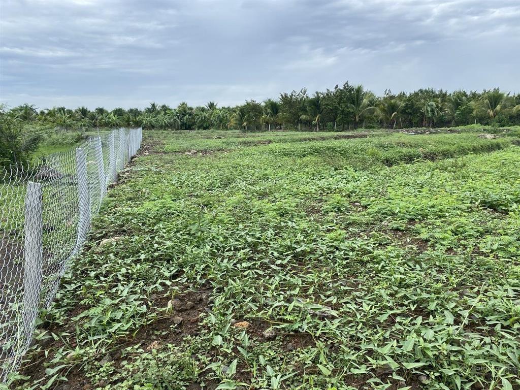 Đất sào siêu rẻ tại long khánh (chỗ nào rẻ hơn cho luôn)