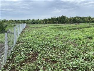 Đất sào siêu rẻ  tại long khánh (chỗ nào rẻ hơn cho luôn)