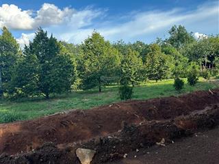 Bán vườn sầu riêng năm thứ 8 giá 2 tỷ 6/ ha