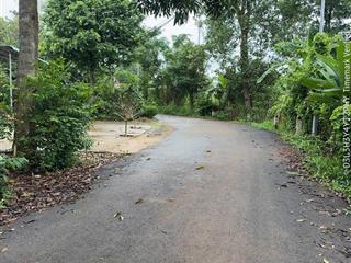 Bán đất trung tâm láng lớn diện tích 1.000m² giá chỉ 1.2 tỷ, pháp lý rõ ràng