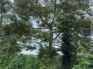 Bán đất đẹp láng lớn  ngay mặt tiền nhựa, view suối