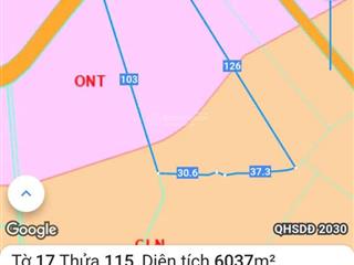 Bán đất vườn phủ hồng xã kim long, tp. hcm (khu láng lớn, châu đức, brvt).