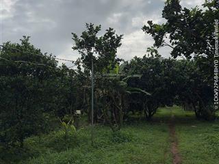 Bán 3 sào 4 đất vườn kim long tp. hcm (láng lớn, châu đức, brvt cũ). giá bán 4 tỷ