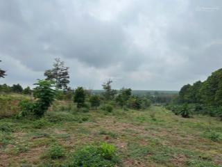 Bán đất láng lớn mặt tiền đường nhựa gần khu nghỉ dưỡng sendoro