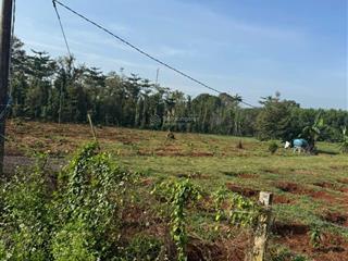 Bán 9.100m² đất láng lớn mặt tiền 60m đường nhựa, khu dân cư, gần trục mỹ xuân, ngãi giao