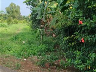 Bán đất láng lớn 2 mặt tiền, gần khu dân cư, giá chỉ 2,95 tỷ