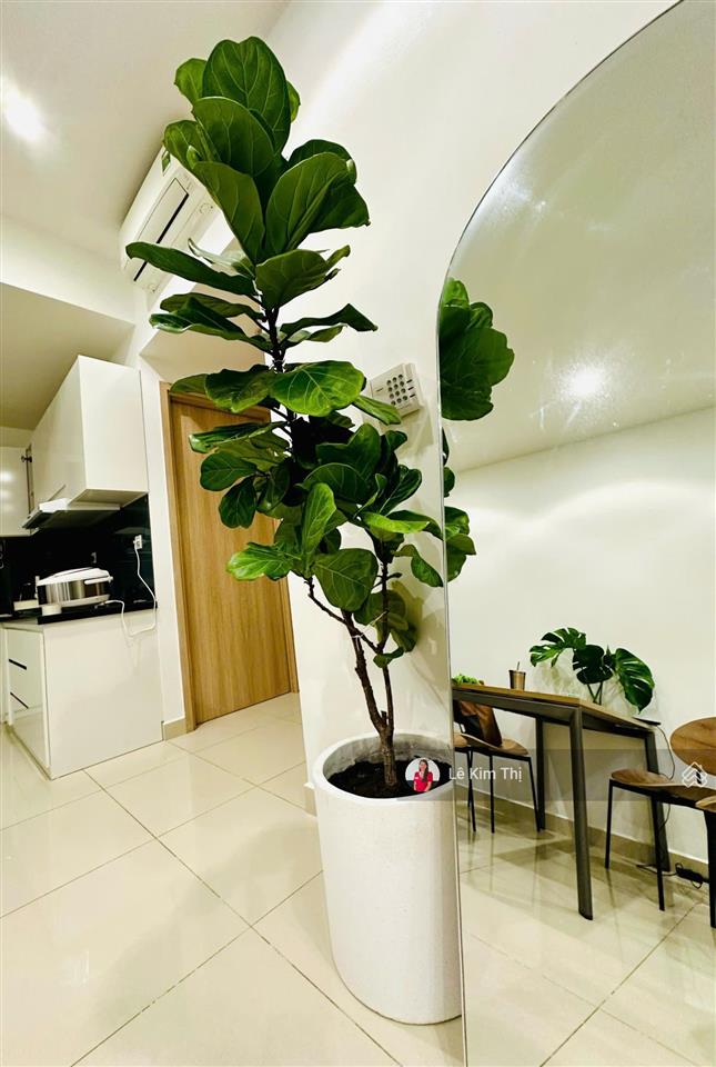 Bán căn hộ officetel sunrise city view 2 phòng ngủ 56m2, giá 3,8 tỷ.  0774 944 *** lê thi.