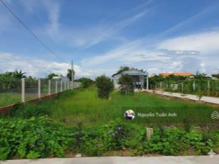 Bán lô đất vườn có diện tích 1160m2, giá 1 tỷ 350tr, pháp lý rõ ràng ở củ chi, tp hcm