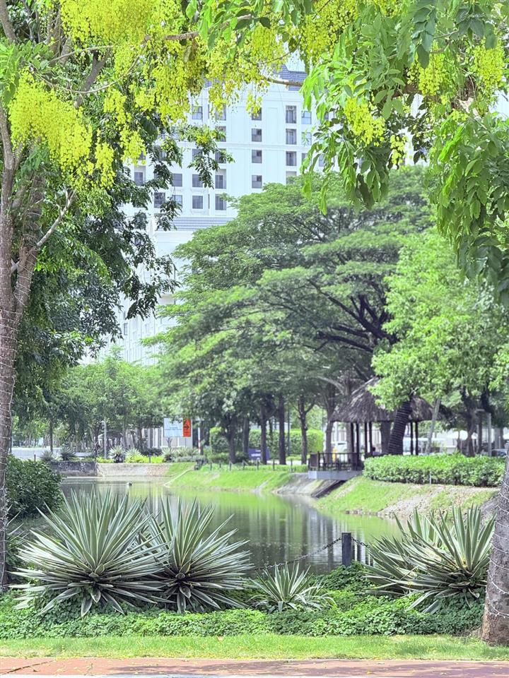 Cho thuê căn hộ 2pn, căn góc, skyvilla ở swanbay