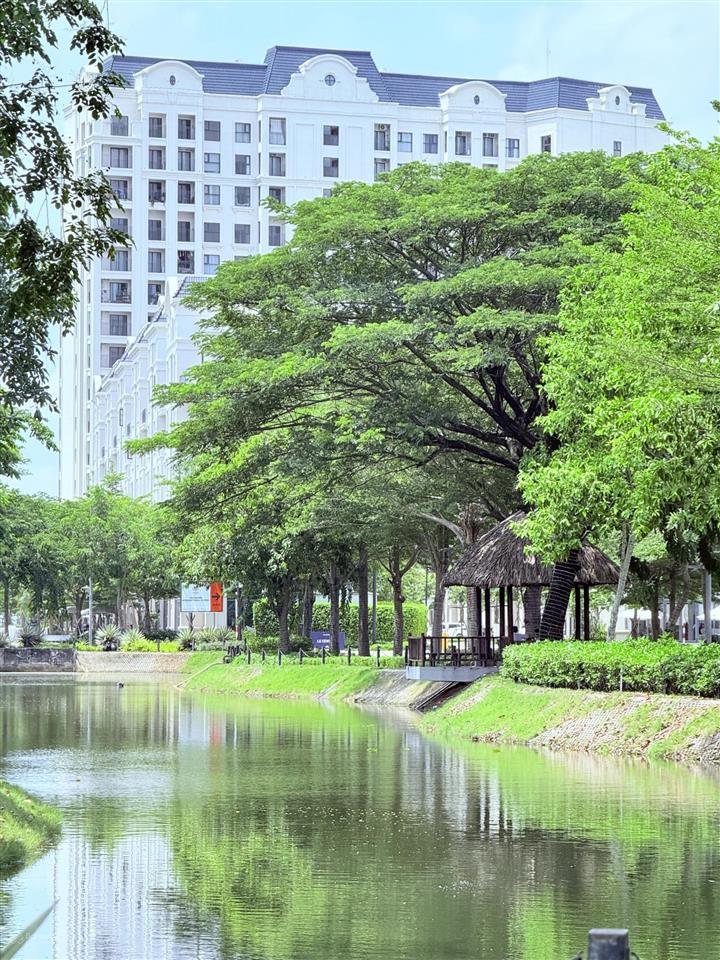 Cho thuê căn hộ 2pn, căn góc, skyvilla ở swanbay